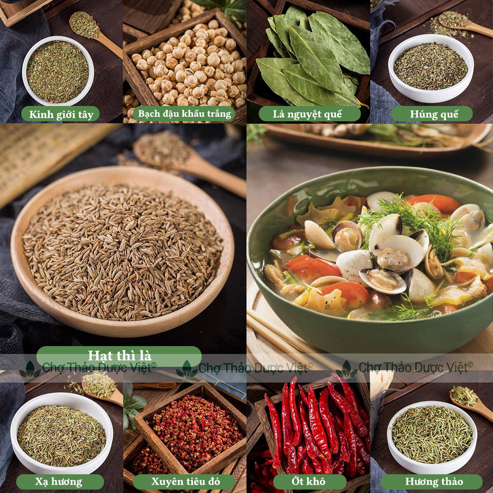 Cumin - hạt thì là ai cập 100g chợ thảo dược việt