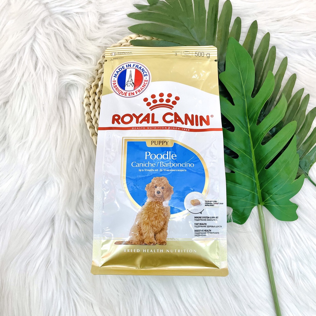 Royal canin Poodle Puppy Thức ăn hạt cho chó
