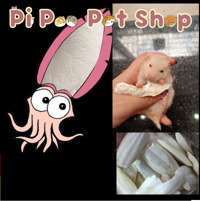 Nang mực mài răng cho Hamster và thú cưng