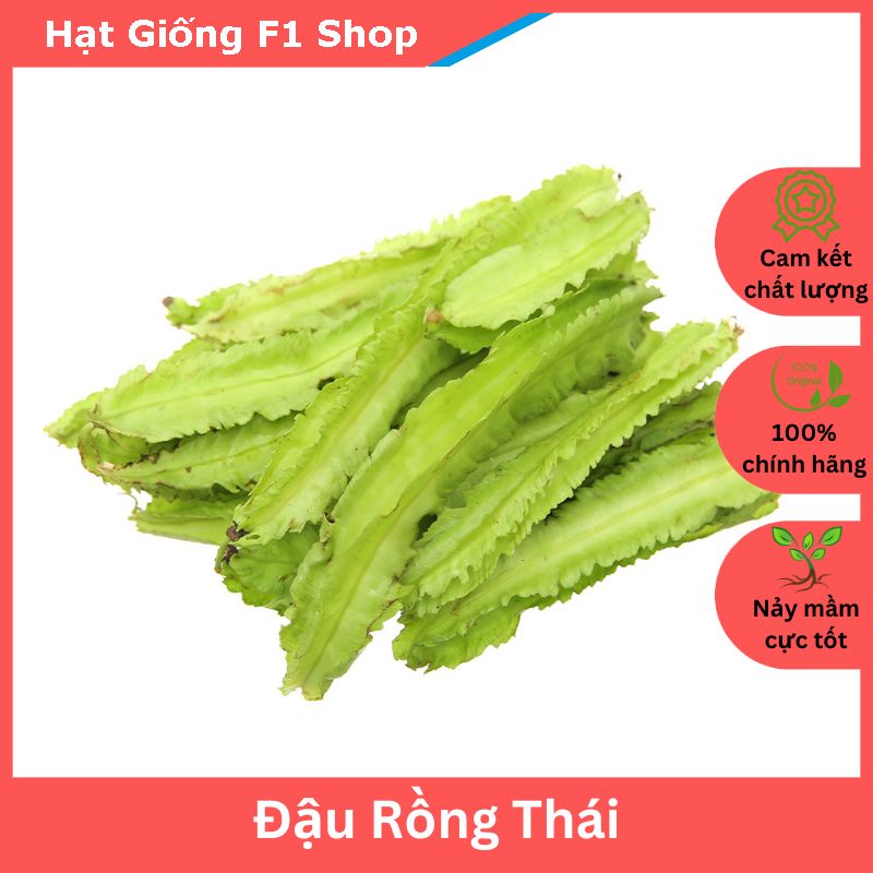 Hạt giống đậu rồng Thái mềm ngọt - gói 10 gam