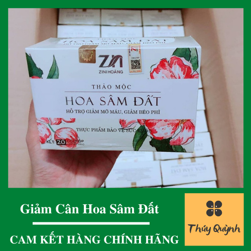 [HCM]Trà giảm cân Hoa Sâm Đất Z n mẫu mới date mới (20 Gói x 02 viên) – Hỗ trợ giảm mỡ máu giảm béo phì