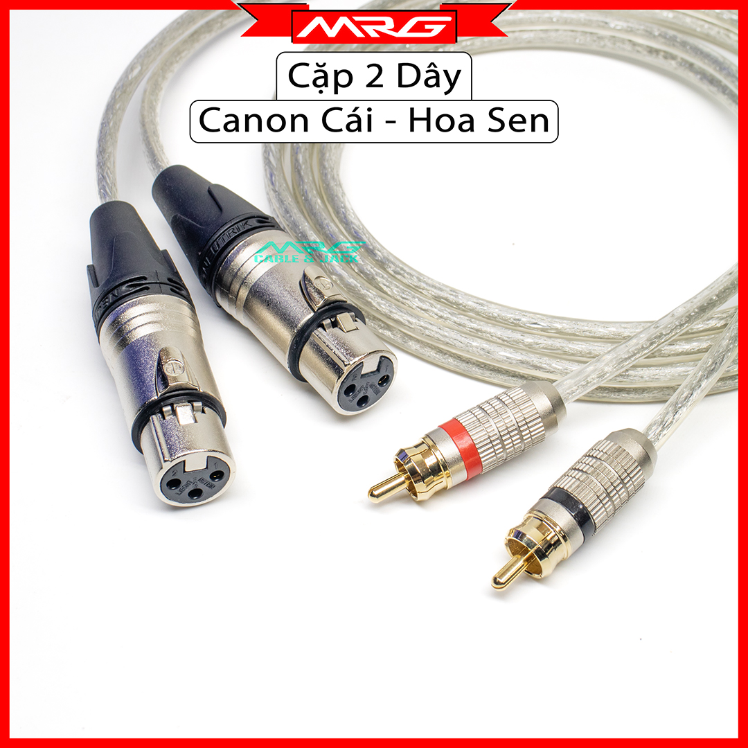  Dây Canon AV Loại Tốt giá 2 dây  Canon Cái Sang AV Hoa Sen  | dây jack canon cái ra av dây canon cái av dây jack canon ra hoa sen dây rack canon hoa sen dây giắc canon ra hoa sen cáp canon ra av hoa sen. 