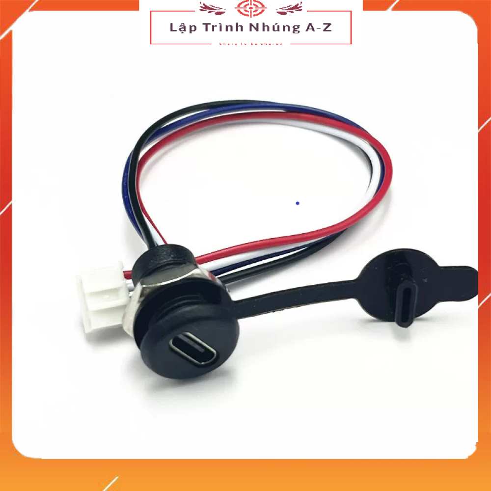 [Lập Trình Nhúng A-Z][G195] Đầu Type C Cái Ra 4 Dây 4P2.0 (Có Nắp Cao Su Bịt Đầu)