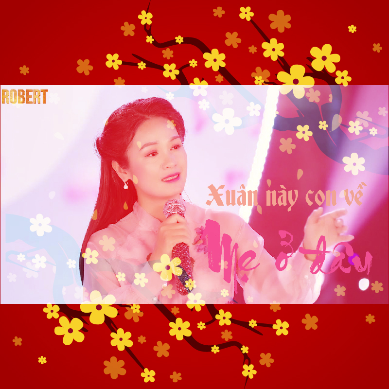 CD.6 : Xuân Này Con Về Mẹ Ở Đâu : Nhạc Tết LOSSLESS