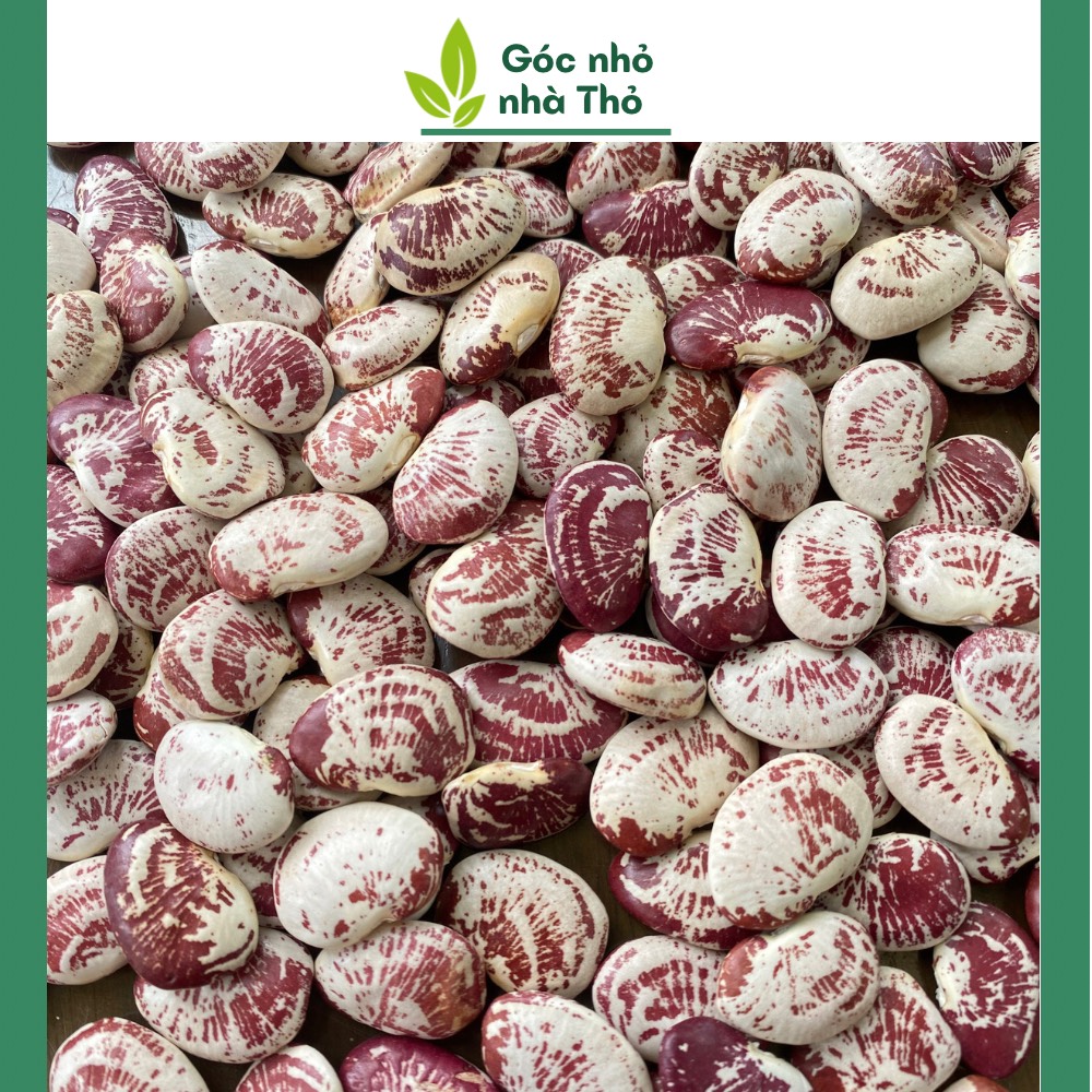 500g đậu ngự chuẩn sạch,loại 1 thơm bở nấu chè nấu sữa hạt