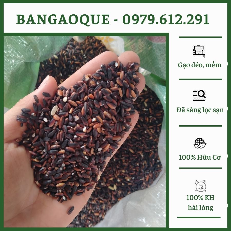 1kg gạo nếp cẩm - gạo nếp than thơm mềm ngọt dẻo