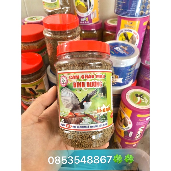 Cám chào mào bình dương hủ 400gr - thức ăn chim cao cấp