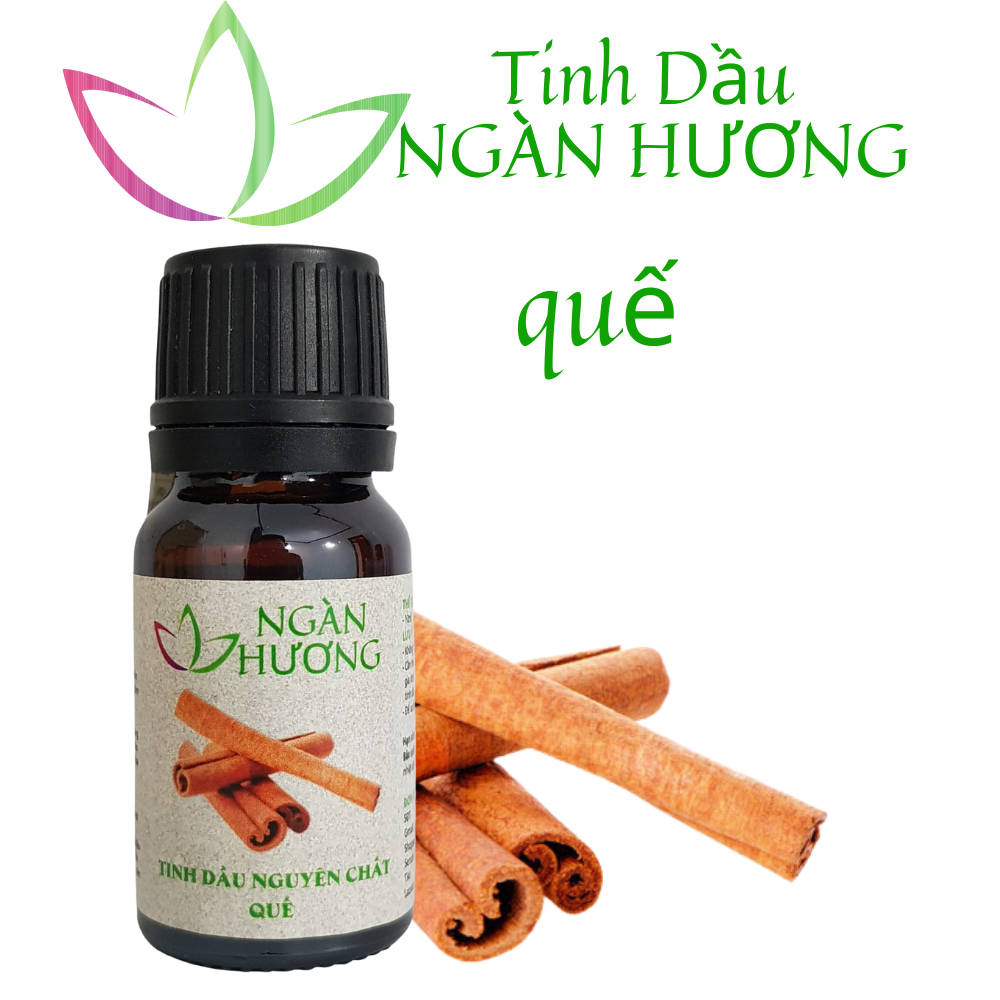 Tinh dầu Quế nguyên chất xông phòng khử mùi hiệu quả