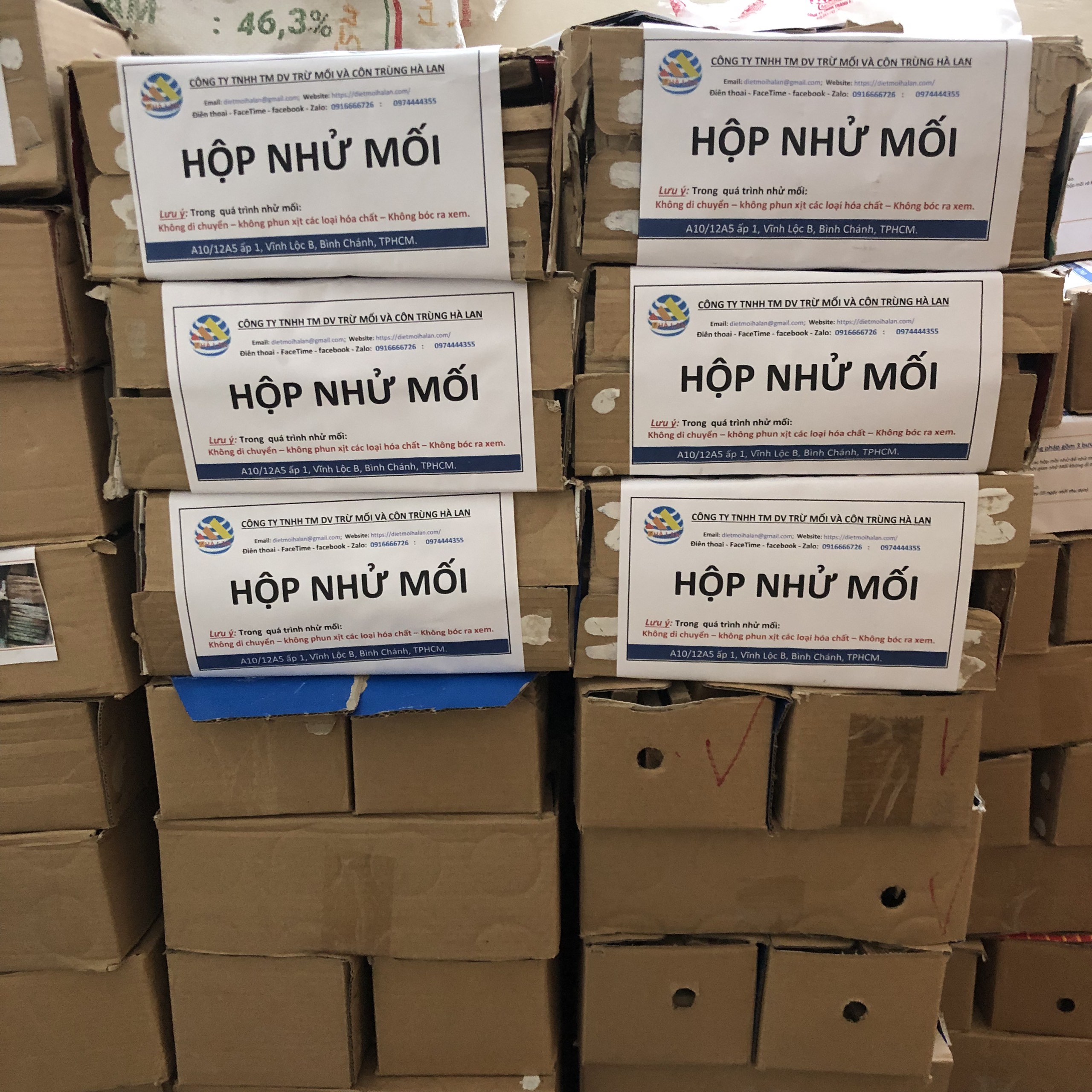 Hộp nhử mối