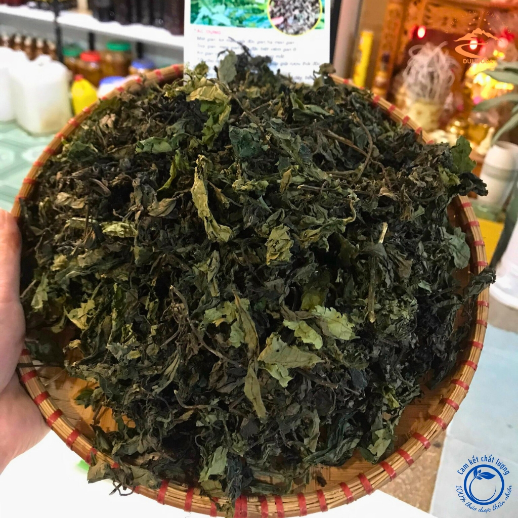 Lá đắng chữa dạ dày , lá rau đắng rừng khô nấu canh dân tộc vùng cao tây bắc