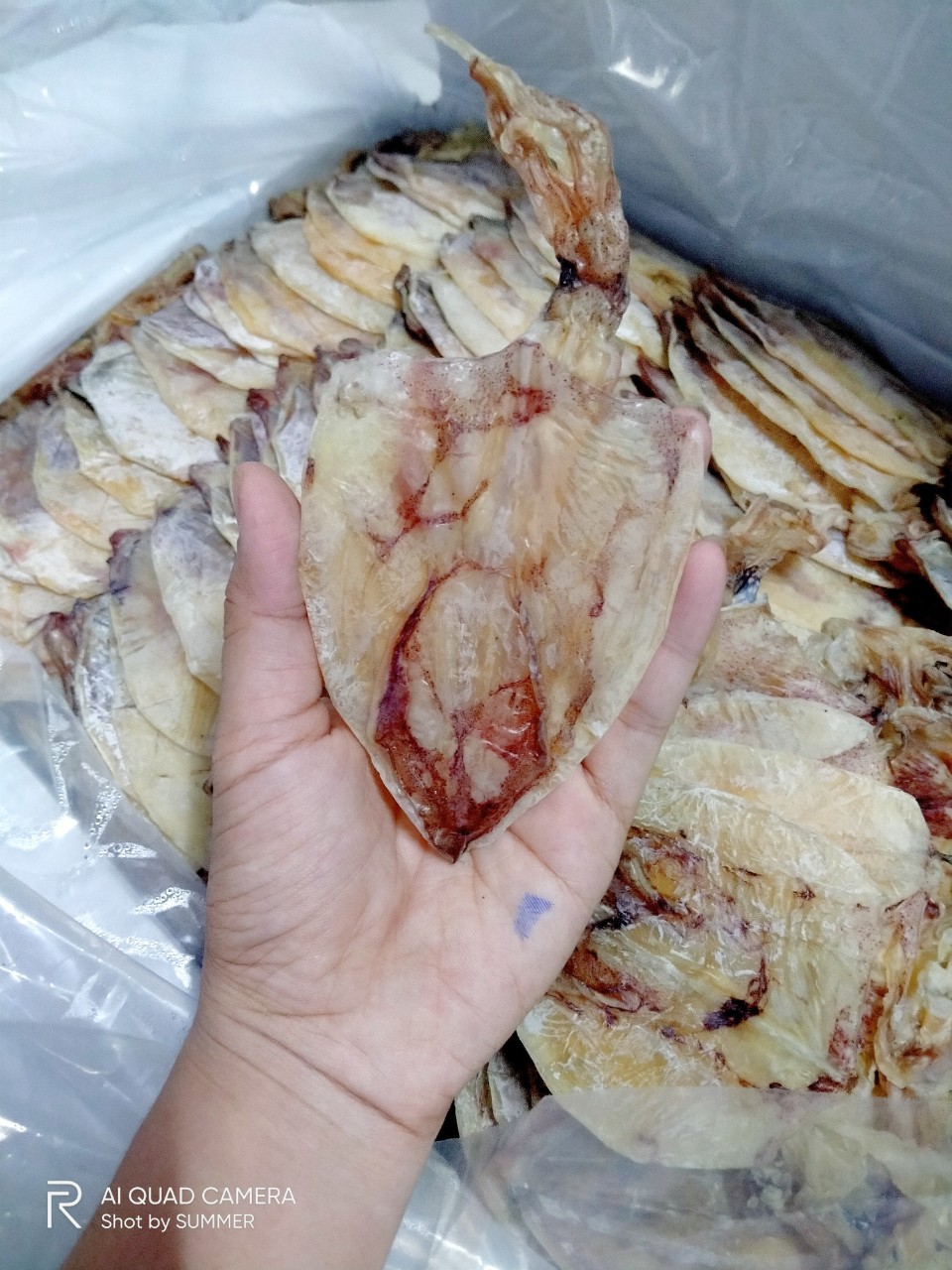[HCM]KHÔ MỰC VŨNG TÀU 05KG( 60-70c)