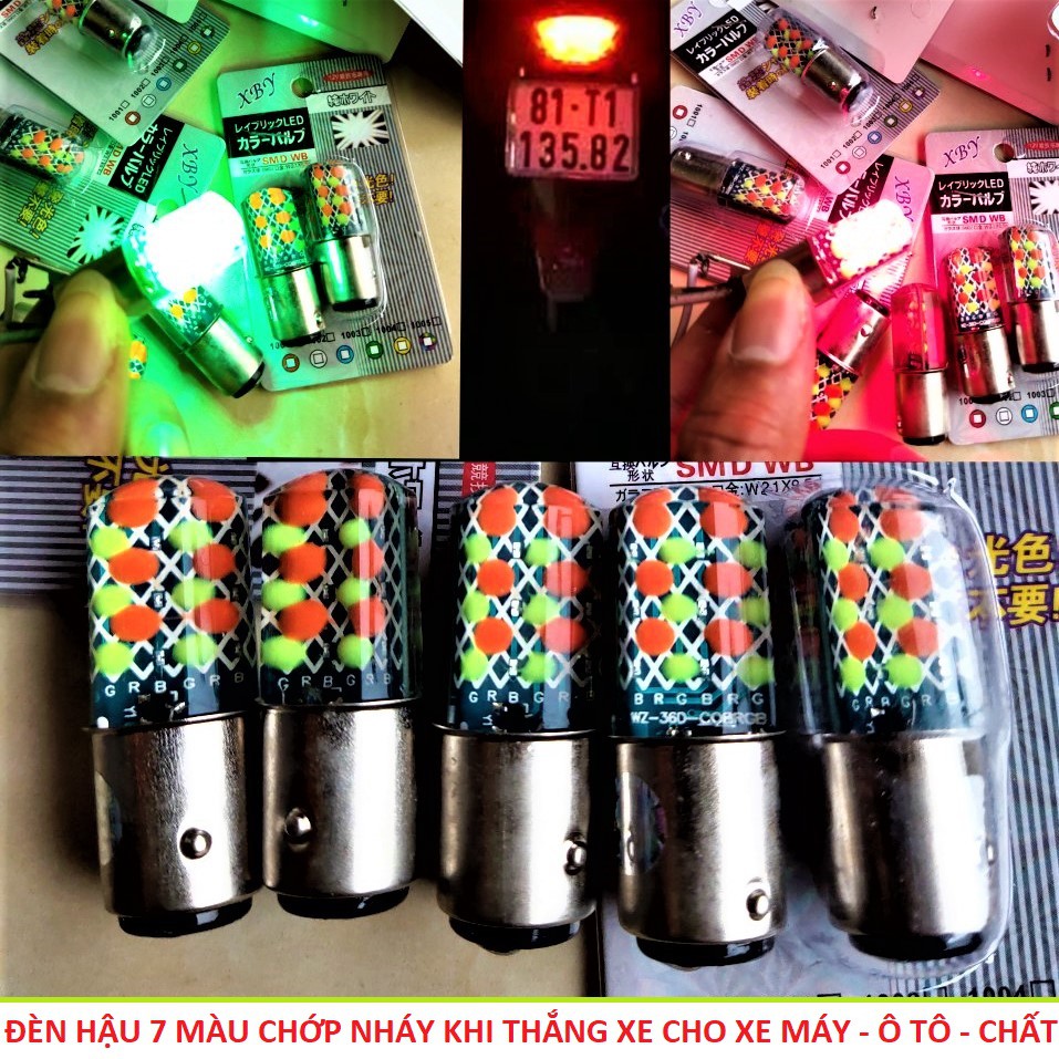 Led nháy hậu 7 màu