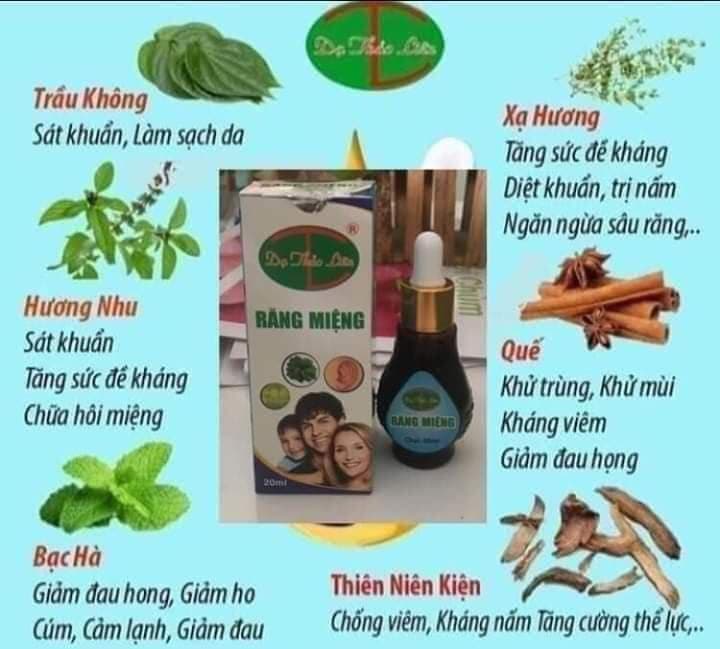 Tinh dầu răng miệng Dạ Thảo Liên