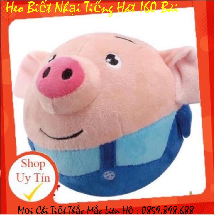Heo thông minh biết nhại tiếng,biết hát và biết nhảy cực cute cho bé yêuu