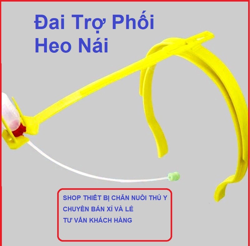Đai hỗ trợ phối tinh heo, thanh trợ phối, đai kẹp phối, giá đỡ phối tinh cho heo nái