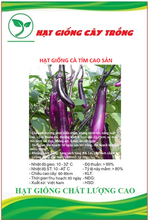 Hạt giống cà tím cao sản f1 ct270 - gói 1gram