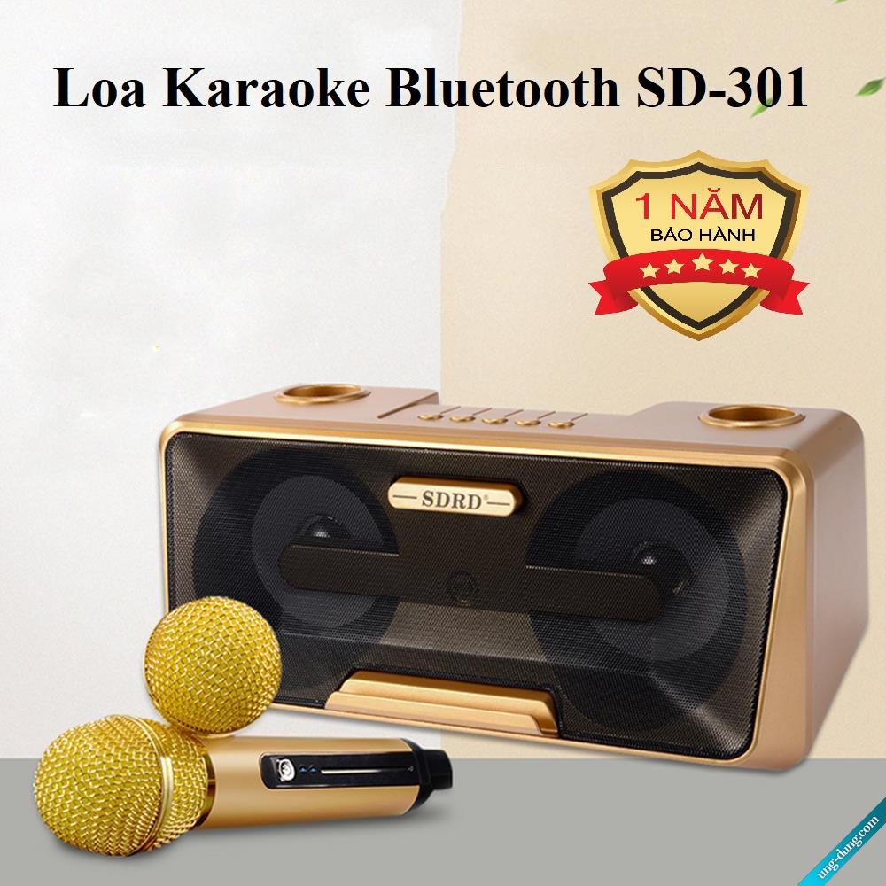 Loa bluetooth mini, bluetooth loa karaoke, loa karaoke bluetooth sd-301 tặng 2 mic không dây, công suất 20w âm thanh to không rè, âm bass trầm ấm - mẫu mới 2019, hàng tốt, giá rẻ.