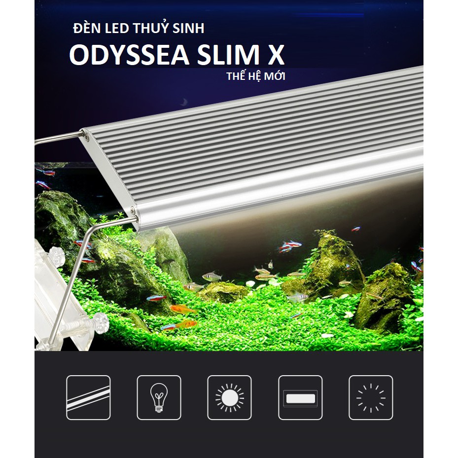 Đèn Led thủy sinh Odyssea Slim X600