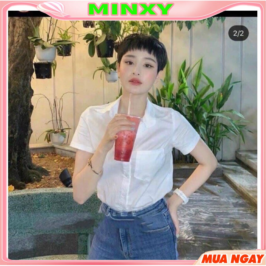 Áo sơ mi Gu cộc hàng chuẩn đẹp