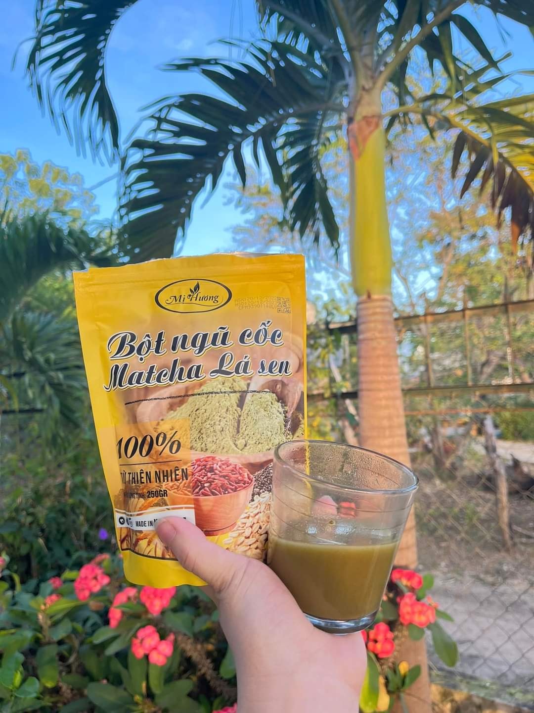 Bột tan mỡ bụng mị hương-bột ngũ cốc matcha lá sen