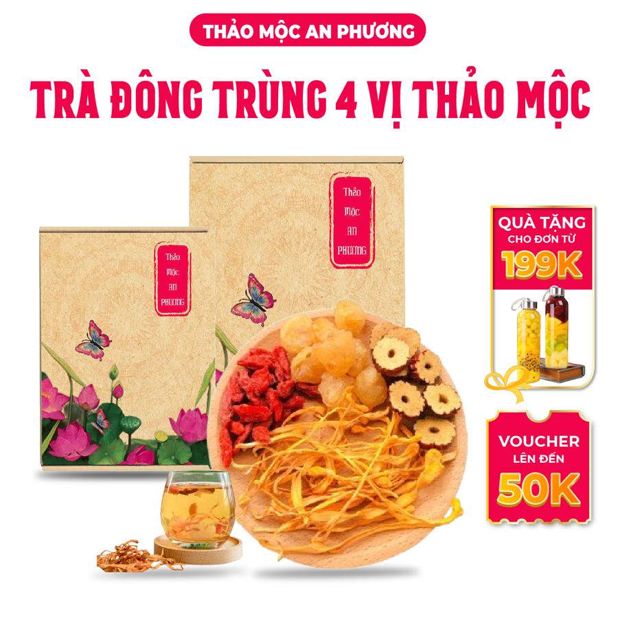 Trà Đông Trùng 4 Vị Thảo Mộc An Phương (1 Hộp 30 Gói), Đẹp Da, Chống Lão hoá, Dễ Ngủ T13