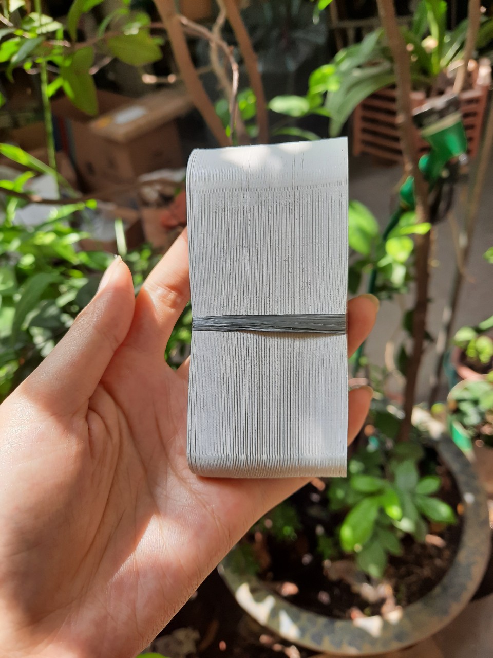 100 Thẻ treo ghi tên cây màu trắng loại tốt