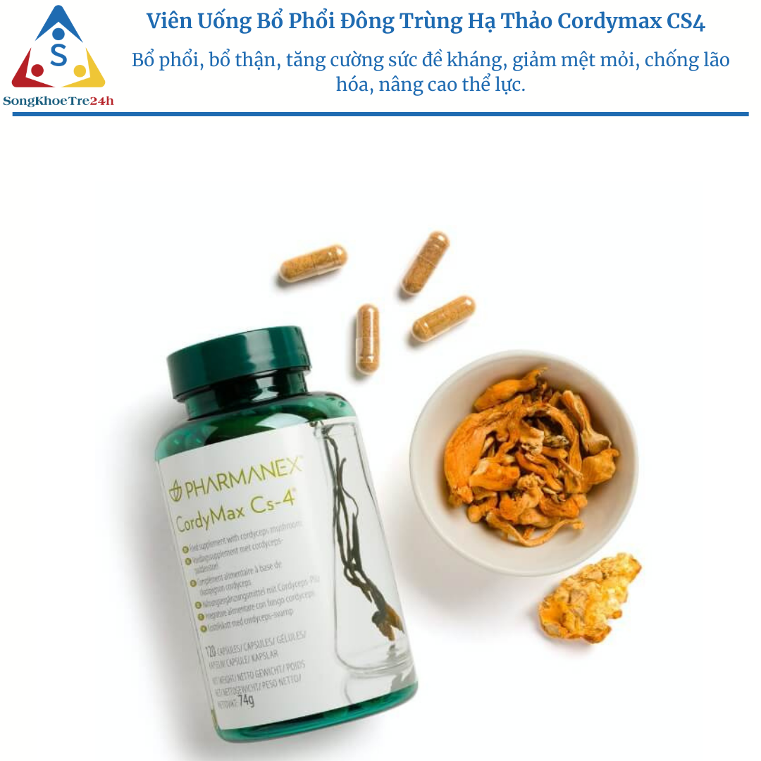 Viên uống bổ phổi thận đông trùng hạ thảo cordymax cs-4
