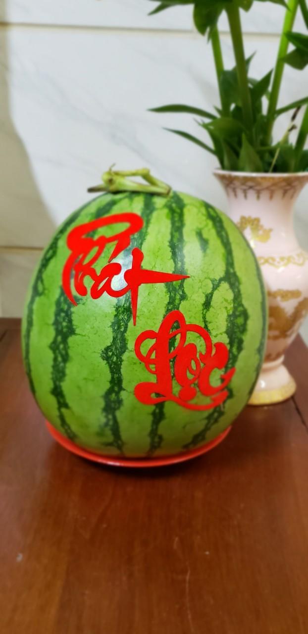 [HCM][HÀNG TẾT] CHỮ TÀI-LỘC-PHÁT-PHÚC DÁN TRÁI CÂY SIZE NHỎ - VL214