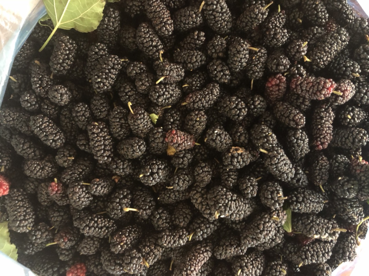 1kg Dâu tằm tươi ngâm đường phèn, ngày sản xuất 08.04.2021 rất sạch thơm, bảo quan trong tủ lạnh từ khi làm, đường đã tan hết