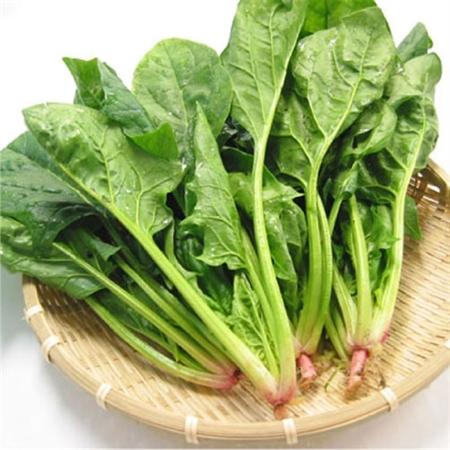 Hạt giống cải bó xôi chịu nhiệt 5gr