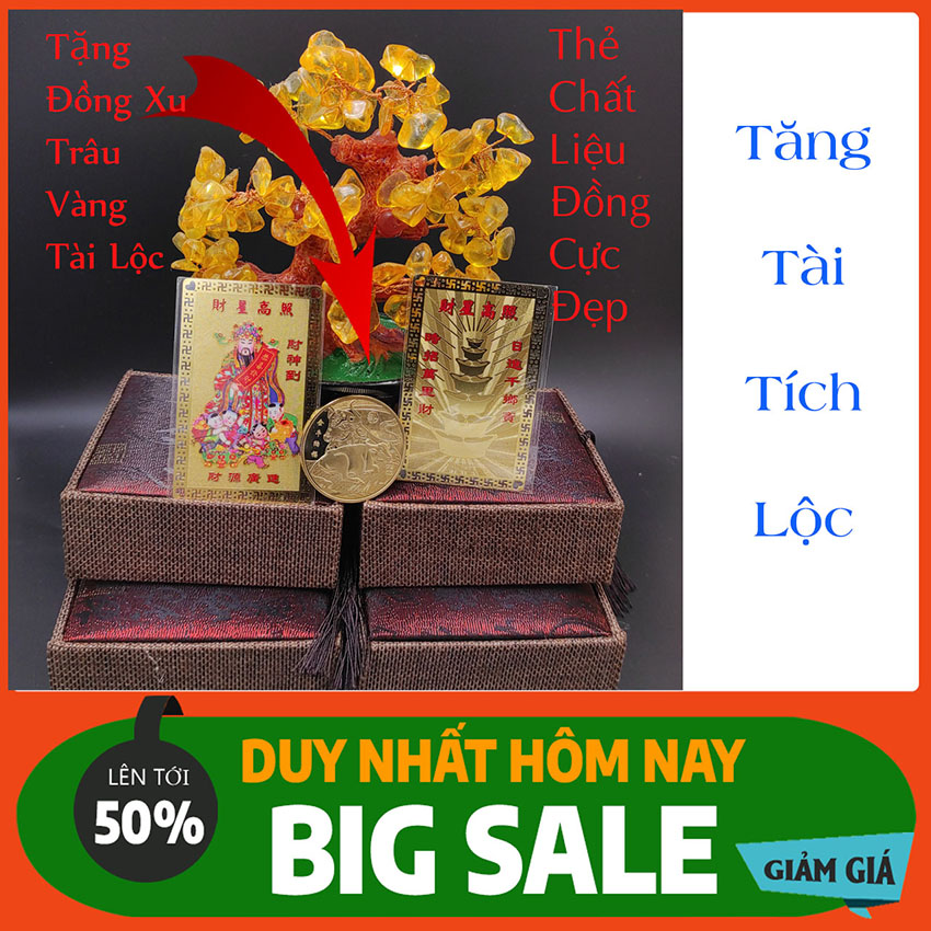 Kim Bài Tài Tinh Cao Chiếu Chiêu Tài -  Thần Tài Gõ Cửa Giúp Kiếm Nhiều Tiền Hơn - Tặng Đồng Xu Kim Ngưu Tài Lộc - Ngũ Lộ Thần Tài Cho Mọi Nhà - Phong Thuỷ Đế Vượng