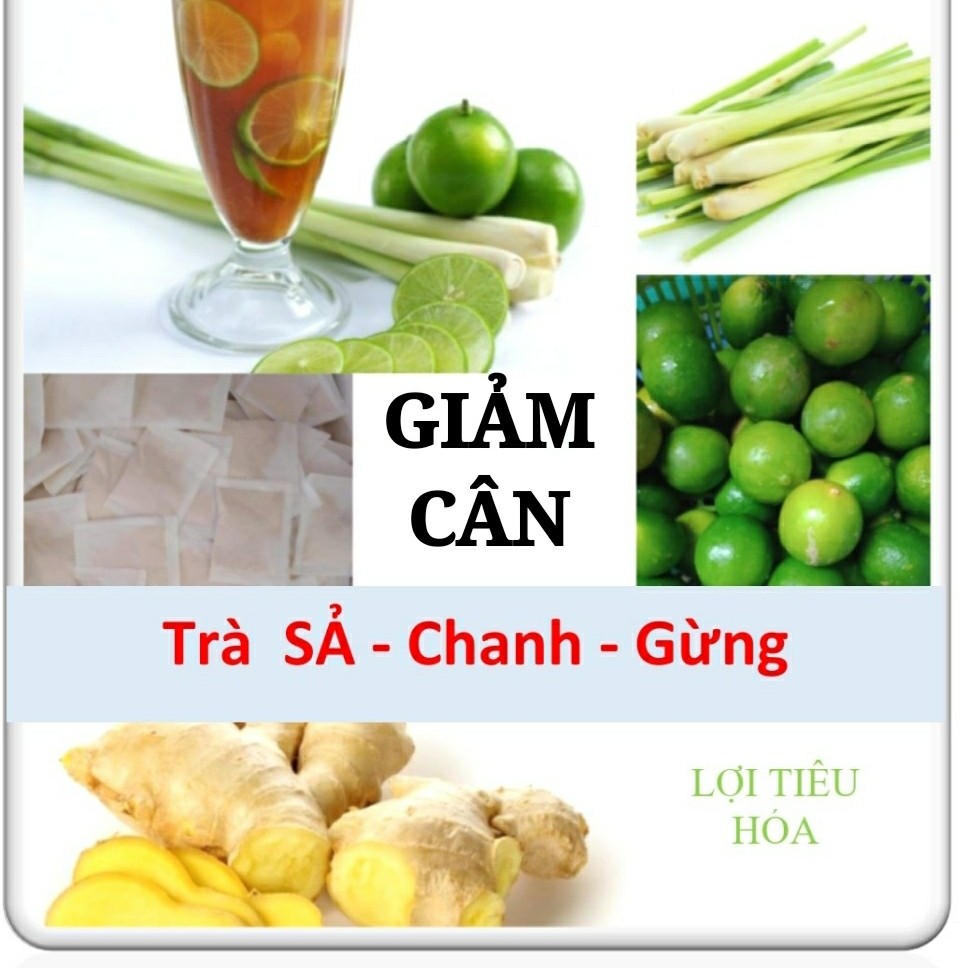 Trà giam can xả chanh gừng 50 túi lọc