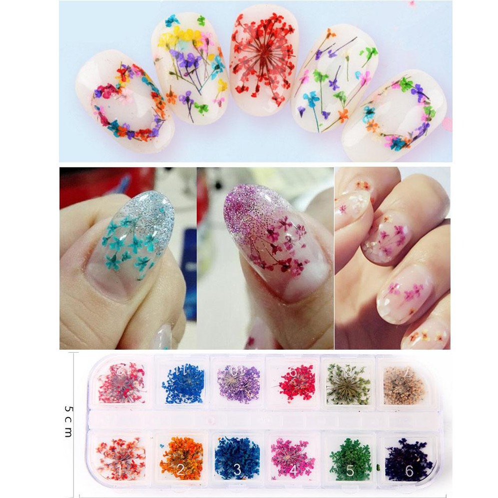 Sét hoa nhí 12 màu chăm sóc trang trí móng làm nail theo phong cách hàn quốc