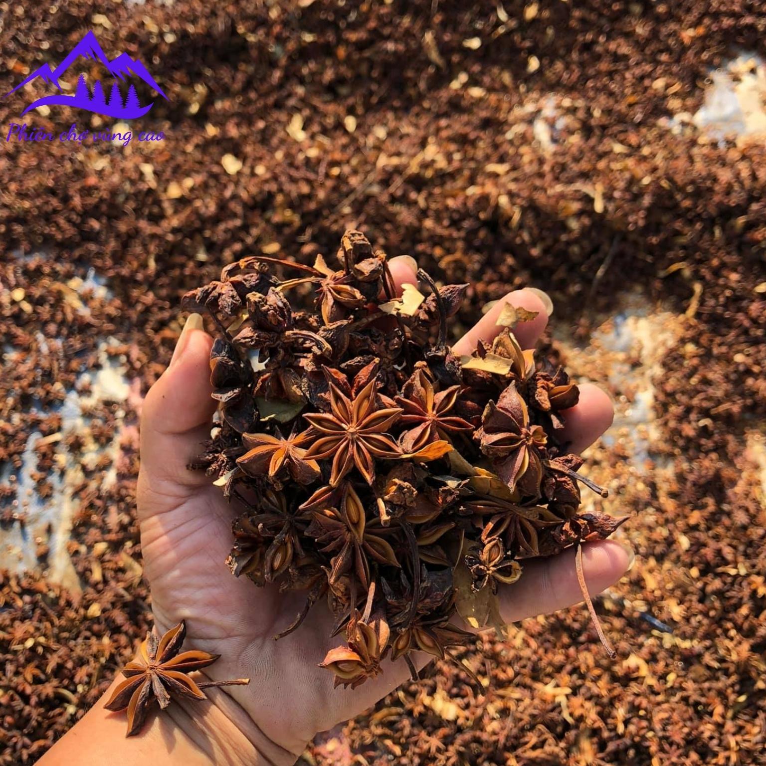 Hoa hồi khô Lạng Sơn loại 1 1kg. Gia vị nấu phở hoa hồi thảo quả quế chi