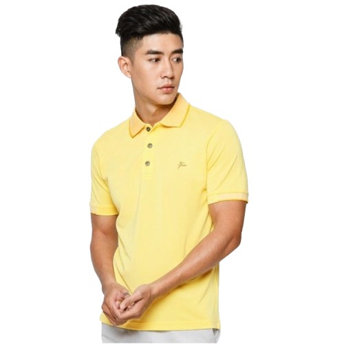 Áo thun nam cổ vải colo cl1606788