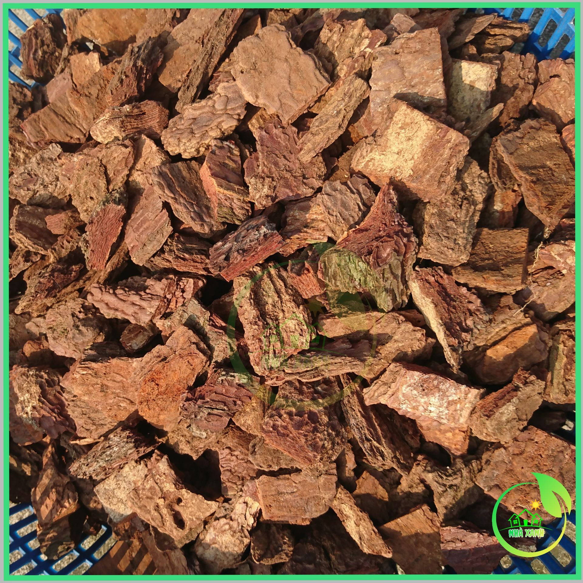 Vỏ thông trồng lan 1*2cm (1kg nhé)