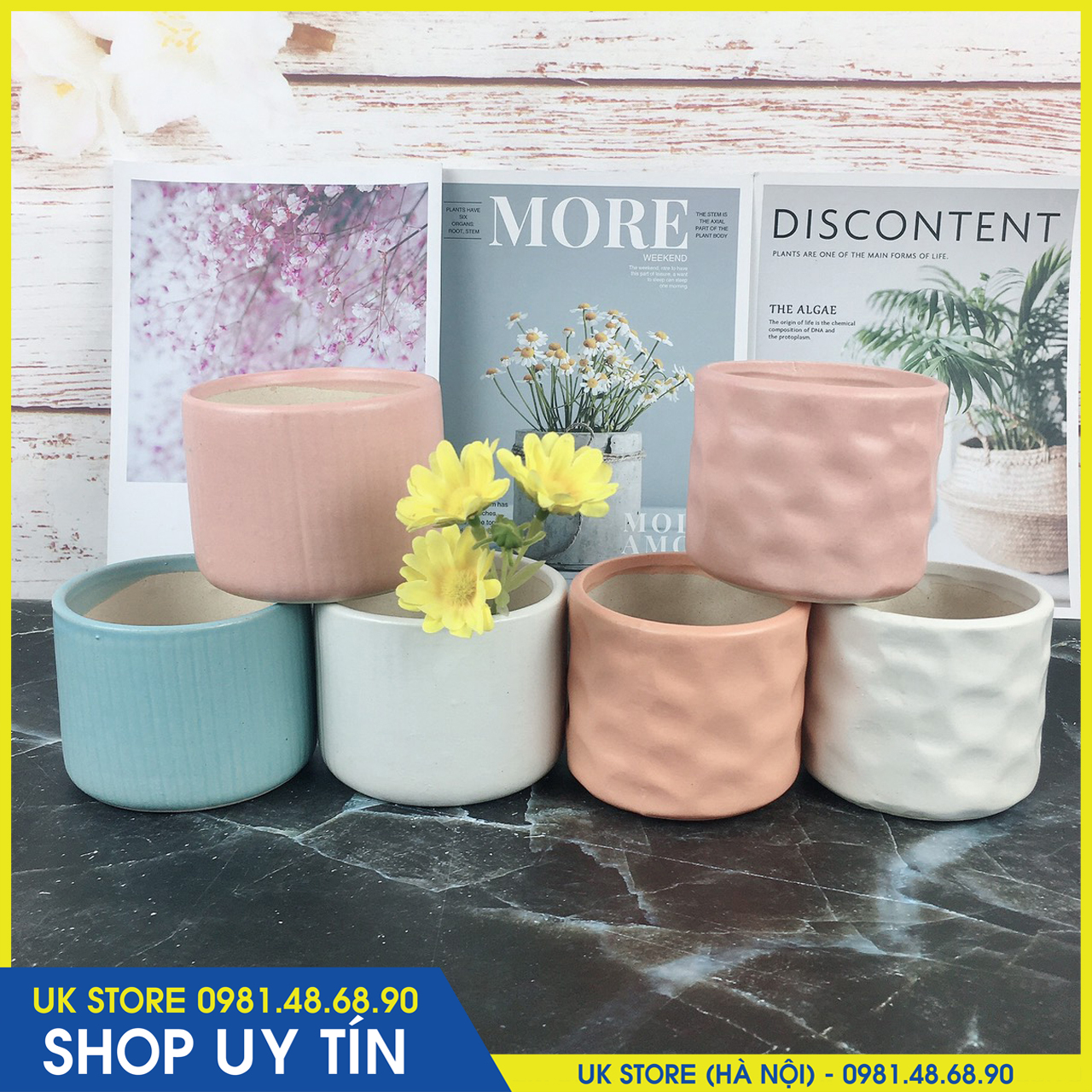 (CHỌN CHẬU) Chậu Sứ MINI Bát Tràng Trồng Cây Cảnh, Sen Đá, Xương Rồng Kiểu Kẻ Tăm Và Mắt Na