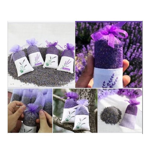 Túi nụ hoa thơm lavender khô