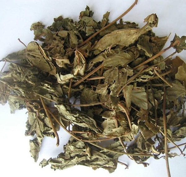 Cây mã đề khô 1 kg gt018