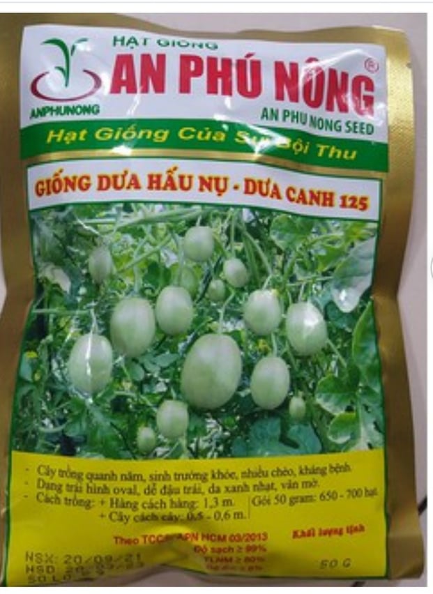 Hạt giống dưa hấu nụ - dưa canh 125