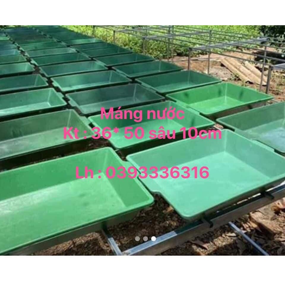 10 khay đựng nước làm mát cho lan - máng vữa - máng đựng nước kt 36x50 sâu 10cm