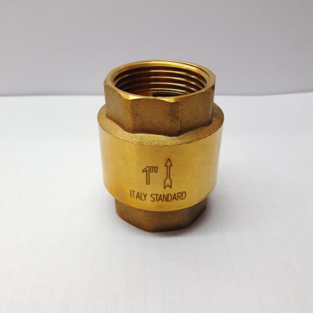 Lupe van 1 chiều lò xo thau phi 34