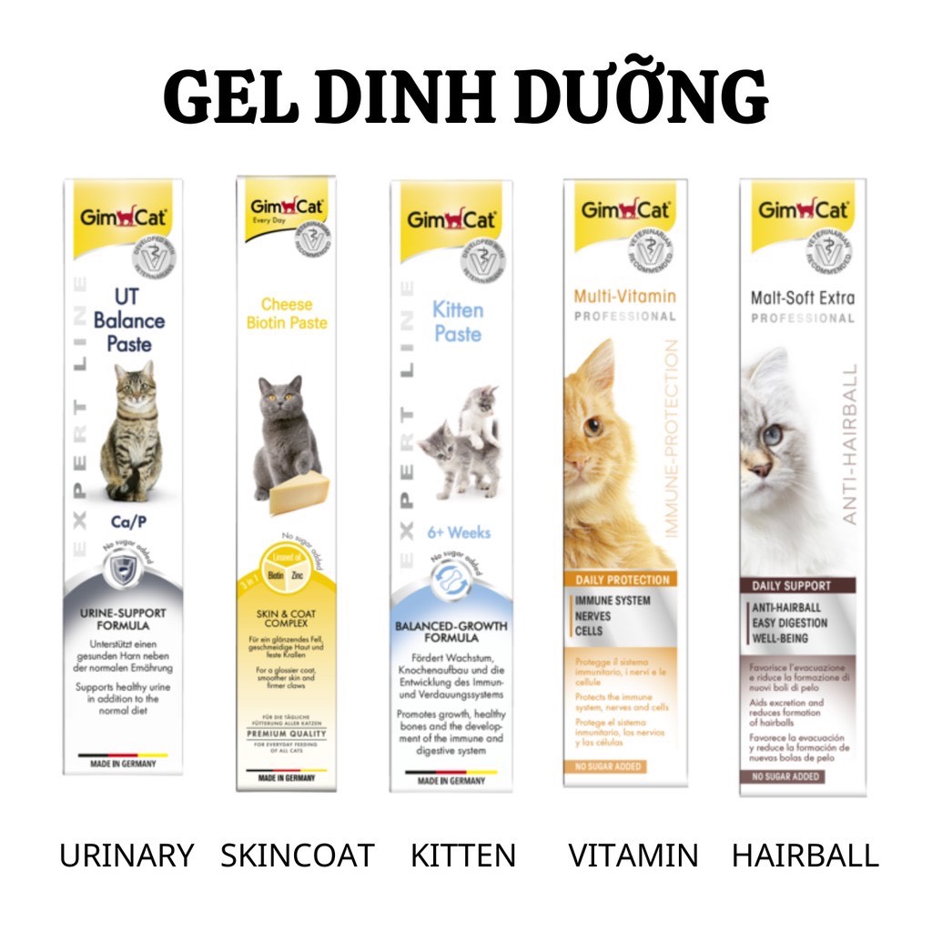 [HCM][GimCat] Gel Dinh Dưỡng Đủ Loại 50G