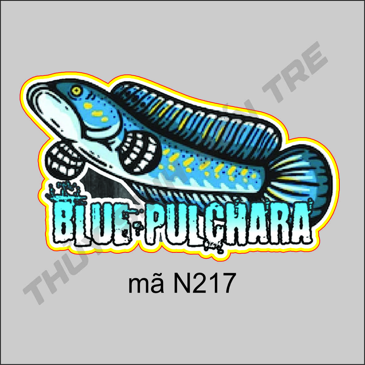 sticker - tem dán cá lóc cảnh 10cm - trang trí hồ cá theo phong cách indo - màu sắc bắt mắt - 3
