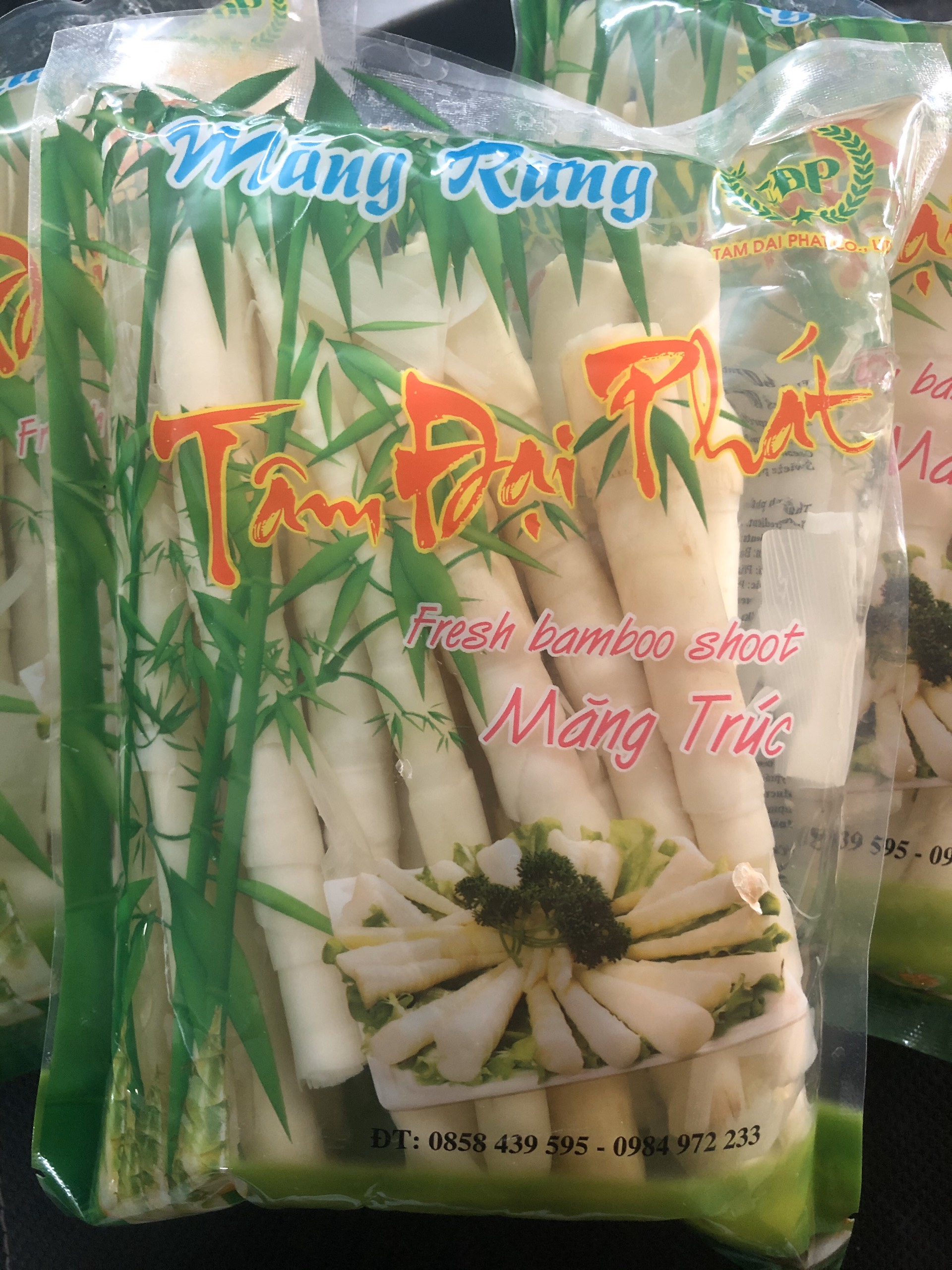 Măng trúc nhỏ tâm đại phát - 00042