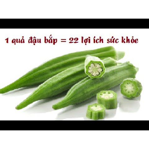 Hạt giống Đậu Bắp Quả Xanh / đỏ dễ trồng, thích nghi với nhiều điều kiện khí hâu và loai đất