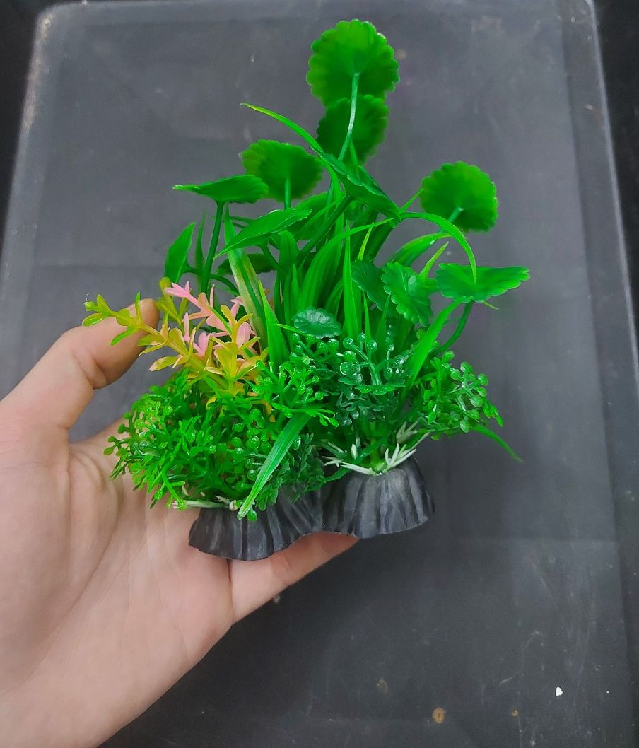 Cây nhựa trang trí bể cá: Mẫu cỡ vừa đế 3 nhánh