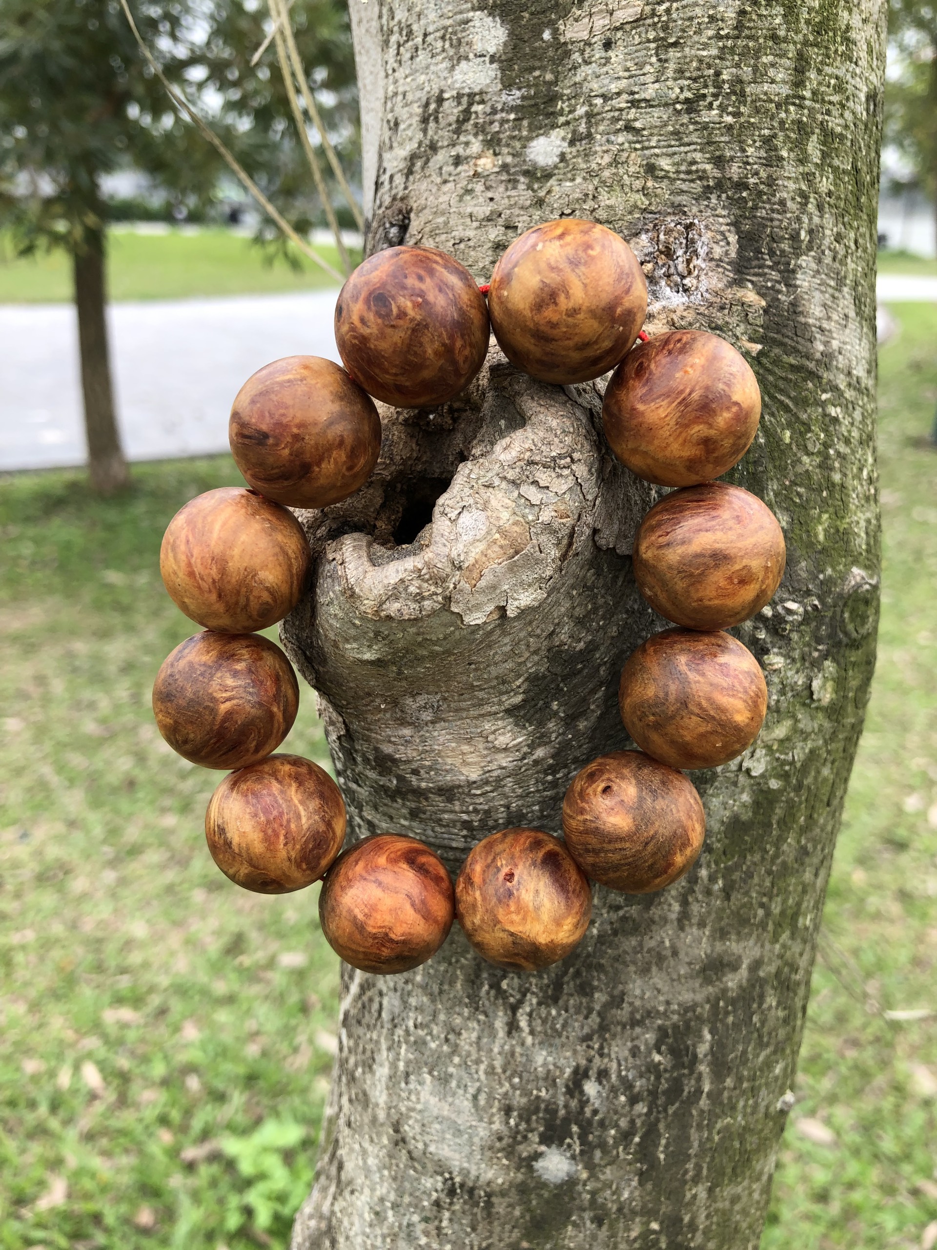 Vòng phong thuỷ Nu Hoa Huyết Long size 20mm
