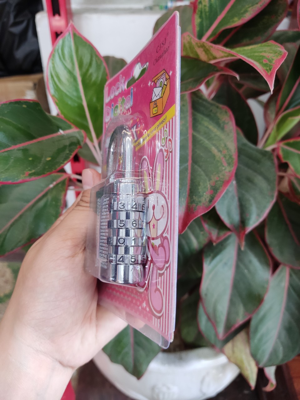 Ổ khóa inox mật mã 4 số lớn