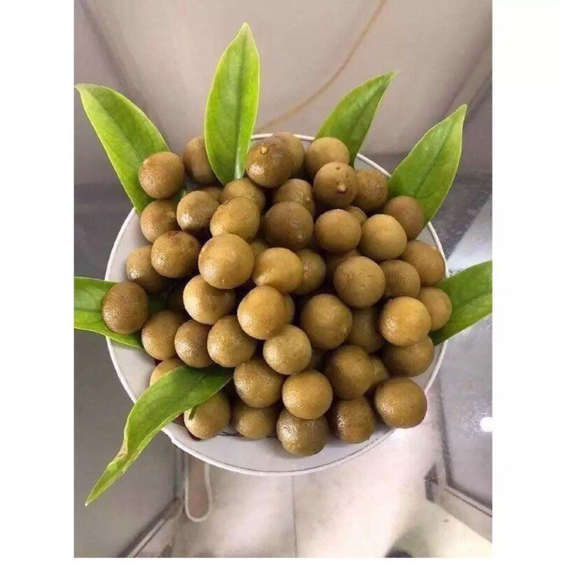 500g ô mai sấu giòn cay chua ngọt đặc sản hà nội